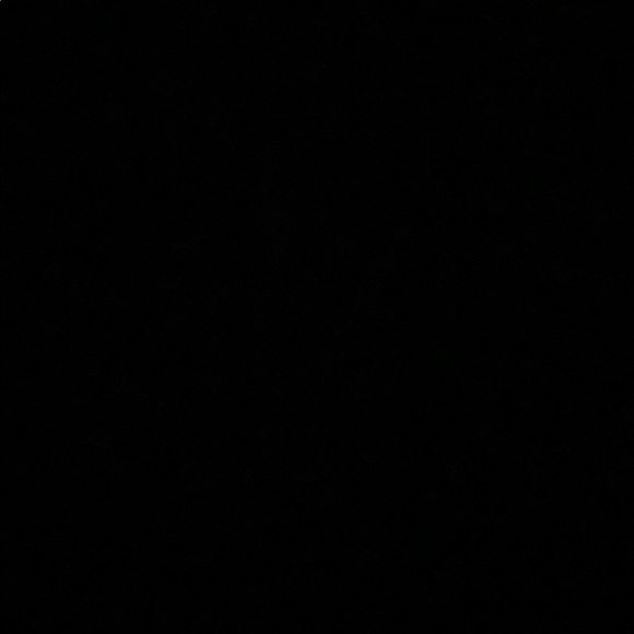 Meet your Posher, Joey - Picture 1 of 1